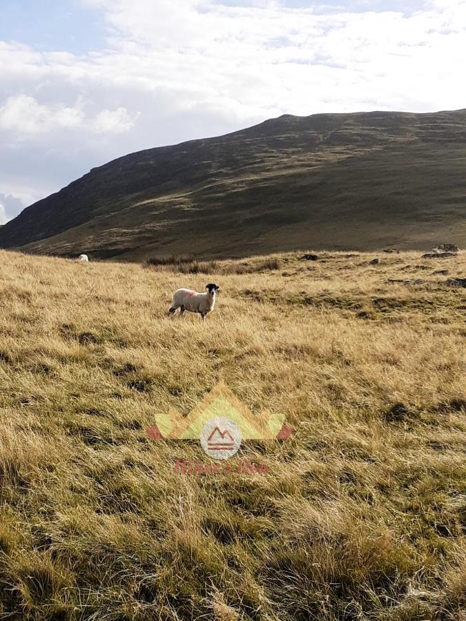 Hiker'S Den, Brigham, Cockermouth, Cumbriaヴィラ エクステリア 写真